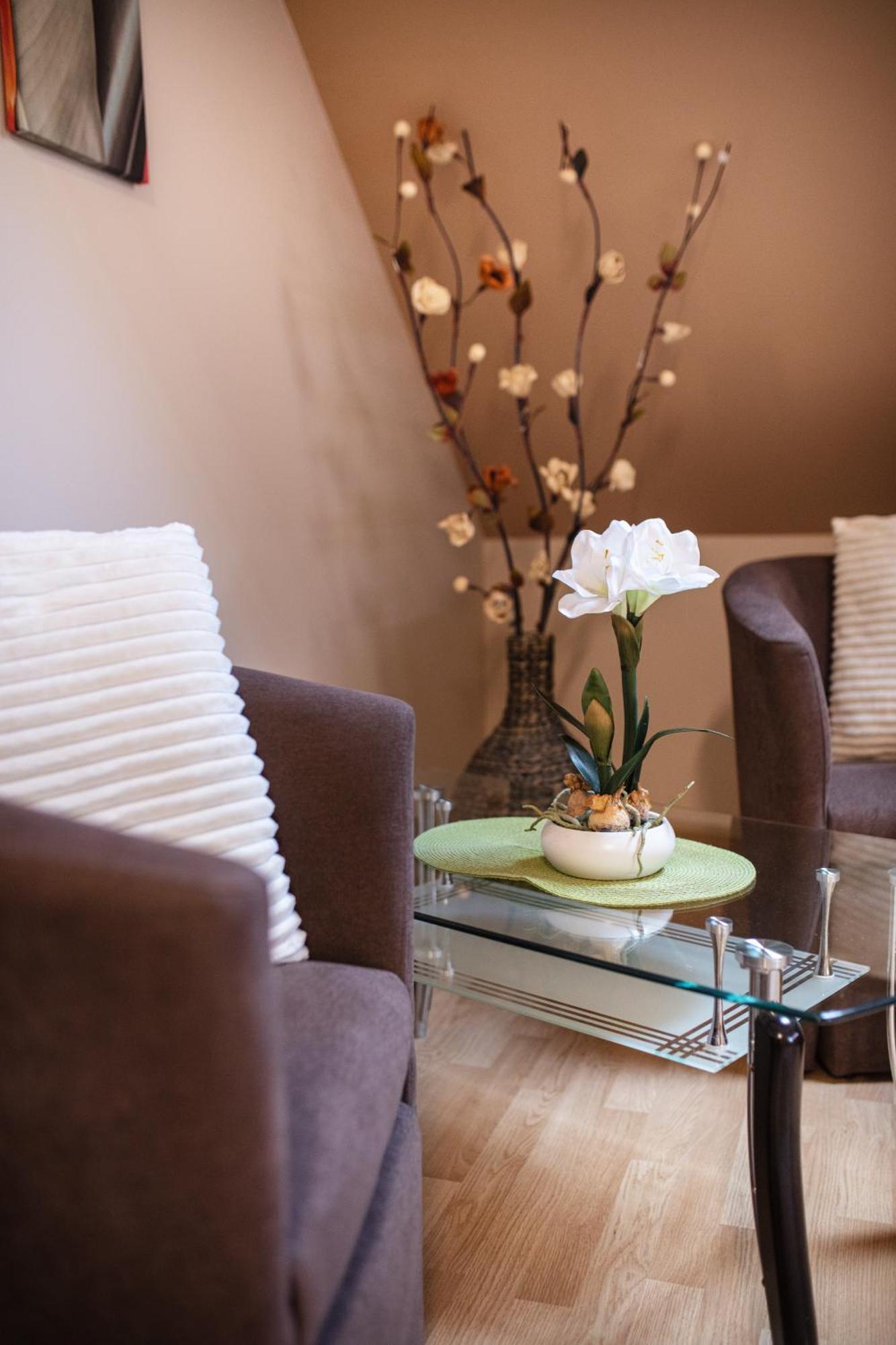 Delfin Apartman Sárvár المظهر الخارجي الصورة
